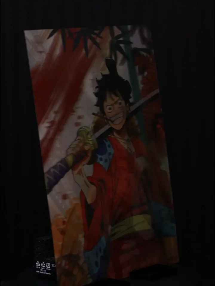One Piece · New Era